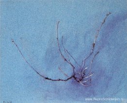 Eikenspray in de winter Eikenspray in de winter