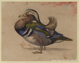 Een Mandarijn-woerd Een Mandarijn-woerd