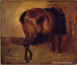 Studie voor Bruin paard van achteren gezien Studie voor Bruin paard van achteren gezien