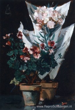 Stilleven met potgeraniums Stilleven met potgeraniums