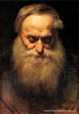 het hoofd van een oude man het hoofd van een oude man