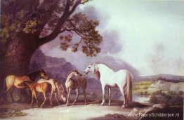 Merries en veulens in een bergachtig landschap Merries en veulens in een bergachtig landschap
