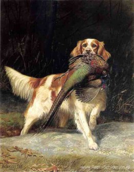 Springerspaniël met fazant Springerspaniël met fazant