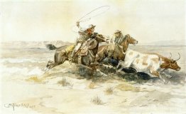 Bronk in een koeienkamp Bronk in een koeienkamp