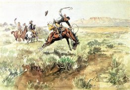 Bronco-busting Bronco-busting