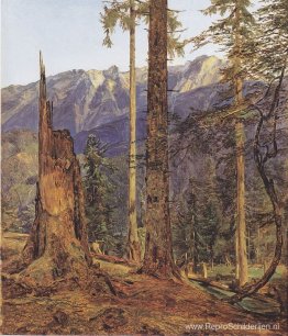 Het Höllengebirge bij Ischl Het Höllengebirge bij Ischl