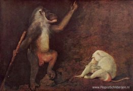 Pavian en Albino Makake Pavian en Albino Makake