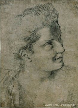 Kijk naar een vrouw die naar rechts is gekeerd Kijk naar een vrouw die naar rechts is gekeerd