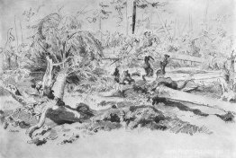 Omgevallen boom Omgevallen boom