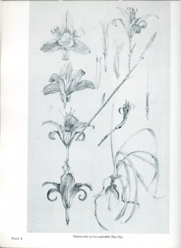 niet gedetecteerd niet gedetecteerd