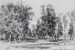 Moestuinen Moestuinen