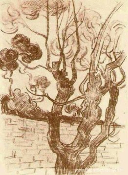 Boomtop gezien tegen de muur van het gesticht Boomtop gezien tegen de muur van het gesticht