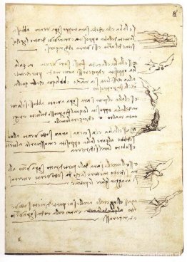 Codex over de vlucht van vogels Codex over de vlucht van vogels
