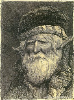 Het hoofd van de boer Het hoofd van de boer