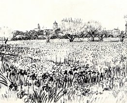 Veld met bloemen Veld met bloemen