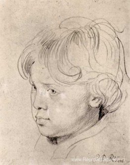 Nicolaas Rubens Nicolaas Rubens