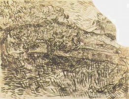 Olijfbomen in een berglandschap Olijfbomen in een berglandschap
