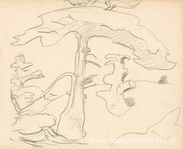 Monhegan (studie) Monhegan (studie)