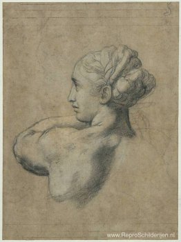 Hoofd van een vrouw Hoofd van een vrouw