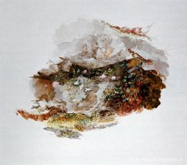 Studie van voorgrondmateriaal Studie van voorgrondmateriaal