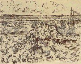 Tarweveld met schoven Tarweveld met schoven