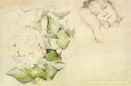 Madame Cezanne met Hortensia's Madame Cezanne met Hortensia's