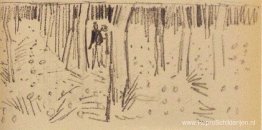 Paar dat tussen rijen bomen loopt Paar dat tussen rijen bomen loopt