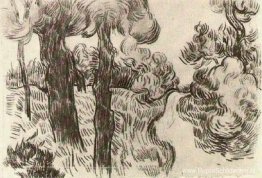 Pad tussen pijnbomen Pad tussen pijnbomen