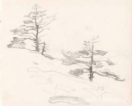Monhegan (studie) Monhegan (studie)