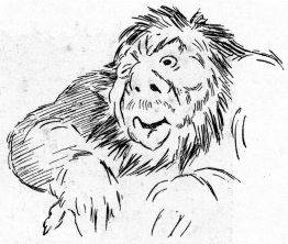 Trollenstudie Trollenstudie