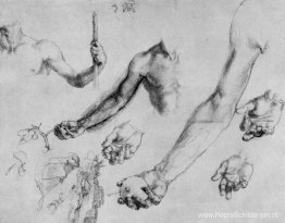 Studie van mannelijke handen en armen Studie van mannelijke handen en armen