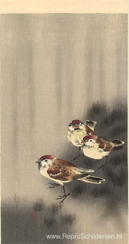 Drie Boommussen in een regenbui Drie Boommussen in een regenbui