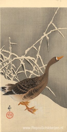 Gans op de sneeuw Gans op de sneeuw
