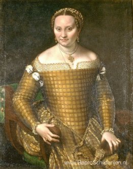 Portret van Bianca Ponzoni Anguissola, de moeder van de kunstena Portret van Bianca Ponzoni Anguissola, de moeder van de kunstena