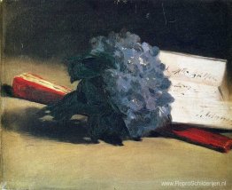 Boeket viooltjes Boeket viooltjes