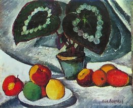 Stilleven met begonia's Stilleven met begonia's