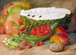 Fruit geteeld op de Seychellen Fruit geteeld op de Seychellen