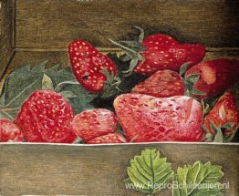 Aardbeien Aardbeien