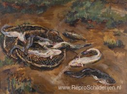 Stilleven. Burbot in de grond. Stilleven. Burbot in de grond.