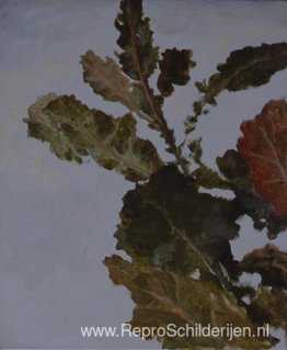 Herfstbladeren Herfstbladeren