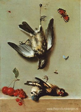 De natuur is morte met oiseux morts en cerises De natuur is morte met oiseux morts en cerises