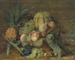 Fruitstilleven met een Amazonepapegaai Fruitstilleven met een Amazonepapegaai