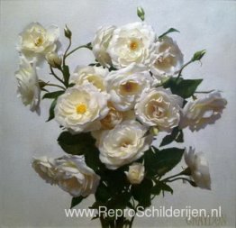 Witte Rozen Witte Rozen