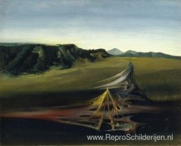 Organisch landschap Organisch landschap