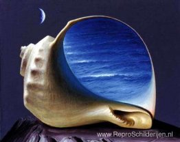 Geluid van de zee Geluid van de zee