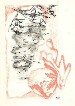 Een zwerm kraaien Een zwerm kraaien