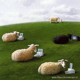 Schapen met lap tops Schapen met lap tops