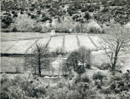 Arizona-landschap Arizona-landschap