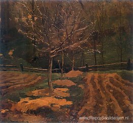 Vroege lente Vroege lente