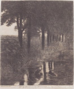 Forellenvijver Forellenvijver